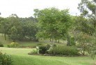Hyland Parkresidential-landscaping-40.jpg; ?>